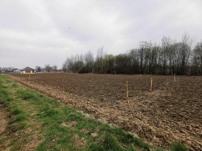 Zator działka pod inwestycje np domków letniskowych