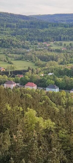 Sprzedam mieszkanie/pokój/