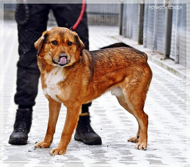 Tosiek – daj się zaczarować temu radosnemu młodzieńcowi