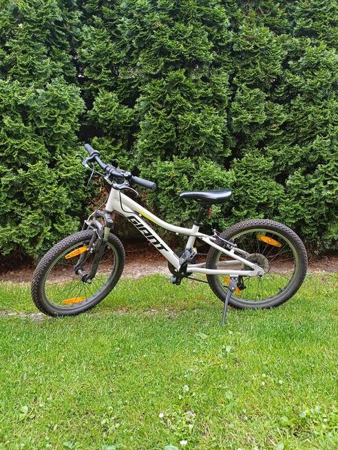 Wypożyczę rowery elektryczne