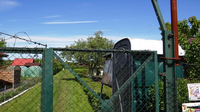 Działka ROD 448m2 w Pile Różyckiego