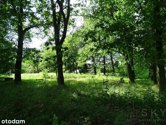 Zajączków – działka pod zabudowę wielorodzinną