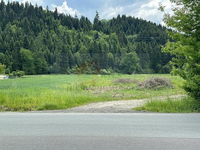 POLECAMY! 113G Gołkowice Dolne gmina Stary Sącz, działka mie