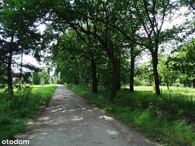 Zajączków – działka pod zabudowę wielorodzinną