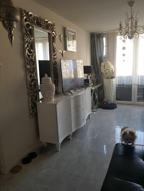 Piękne mieszkanie w centrum Wrocławia zamienię, sprzedam