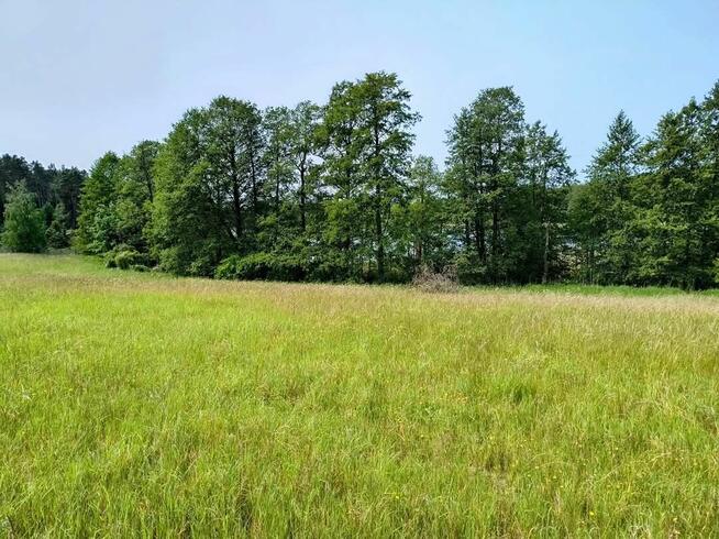 Działka z linią brzegową jeziora Wygryny w Wygrynach