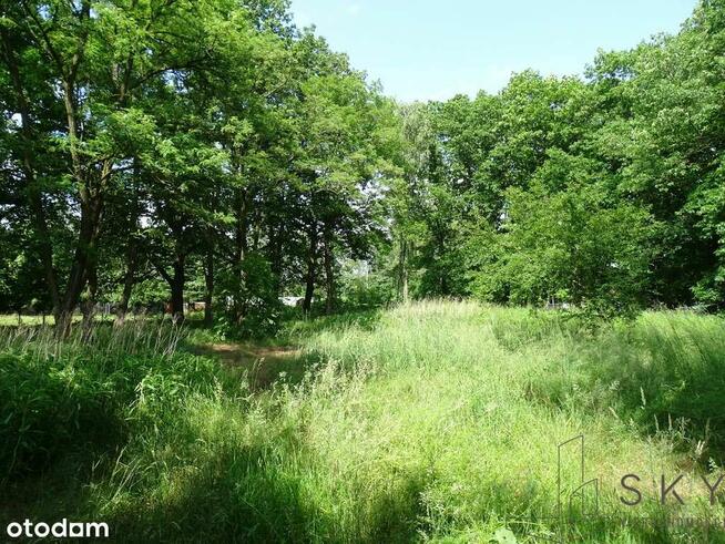 Zajączków – działka pod zabudowę wielorodzinną