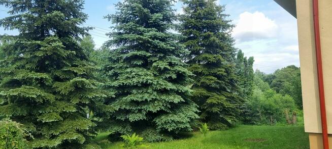 Dom/dwa oddzielne mieszkania, pensjonat lub agroturystyka.