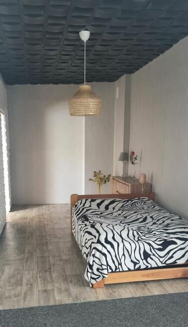 Dom/dwa oddzielne mieszkania, pensjonat lub agroturystyka.