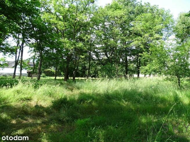 Zajączków – działka pod zabudowę wielorodzinną