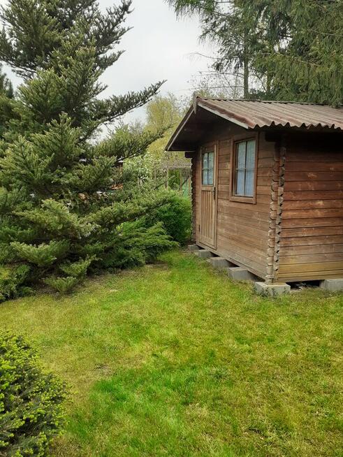 Działka ROD Pod Wierzbami Kraków Golikówka