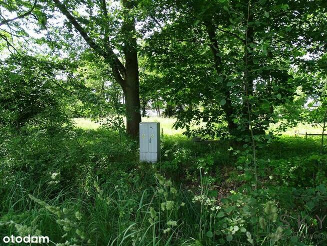 Zajączków – działka pod zabudowę wielorodzinną