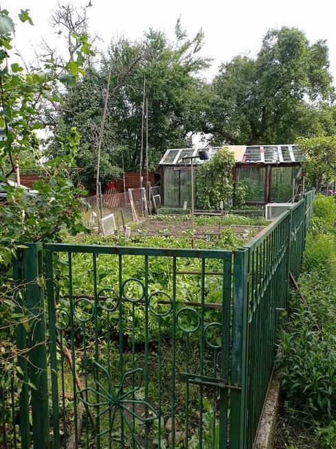 Zgorzelec Mieszkanie 4 pok- bezczynszowe BEZ POŚREDNIKÓW