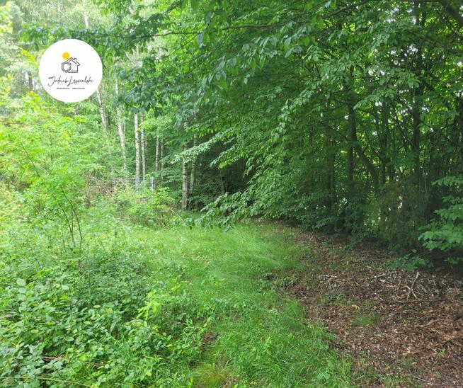 NOWA CENA Wyjątkowa działka z domkiem i stawem – Ryczołek