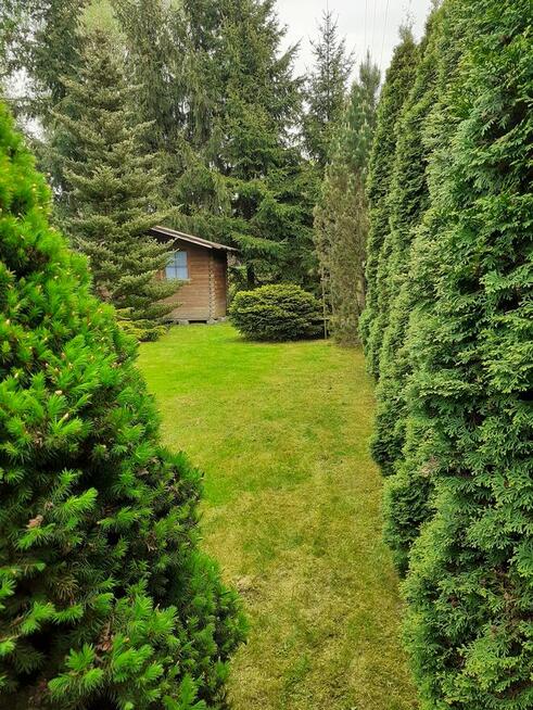 Działka ROD Pod Wierzbami Kraków Golikówka