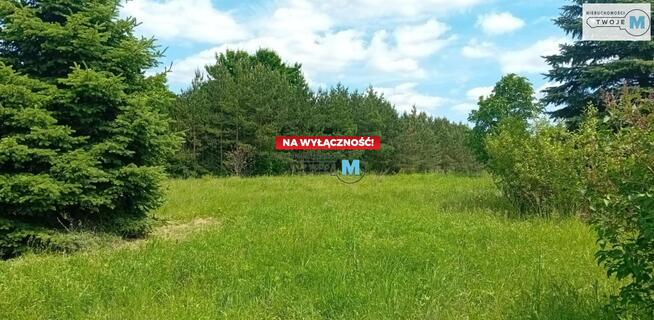 Działka Pierzchnica Pierzchnianka