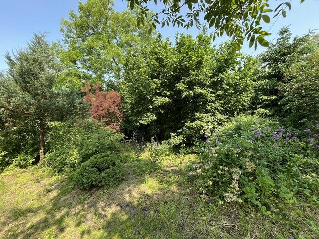 Siedlisko w Kaliszanach Kolonii gm. Józefów