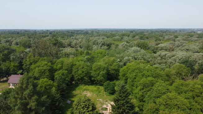 Siedlisko w Kaliszanach Kolonii gm. Józefów