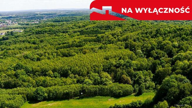 Działka leśna w Skrzyszowie