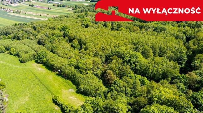 Działka leśna w Skrzyszowie