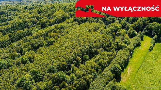 Działka leśna w Skrzyszowie