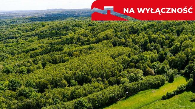Działka leśna w Skrzyszowie