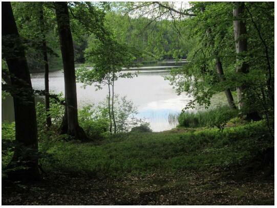 Działka Wołcza Wielka gm. Miastko