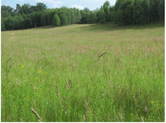 Działka Wołcza Wielka gm. Miastko