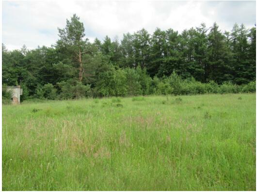 Działka Wołcza Wielka gm. Miastko