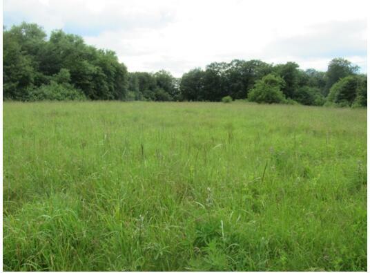 Działka Wołcza Wielka gm. Miastko