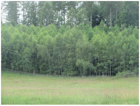 Działka Wołcza Wielka gm. Miastko