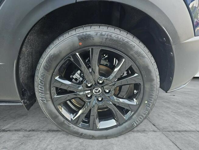 Serwis ASO, Mazda Grupa Wróbel