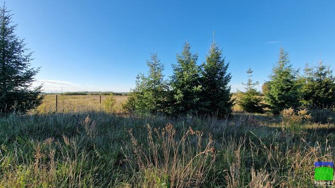 Lokal użytkowy Łódź Widzew, Mileszki
