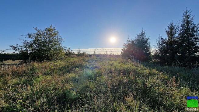 Lokal użytkowy Łódź Widzew, Mileszki