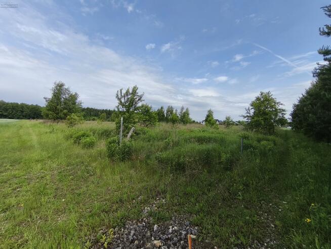 Działka budowlana Nieborowice gm. Pilchowice