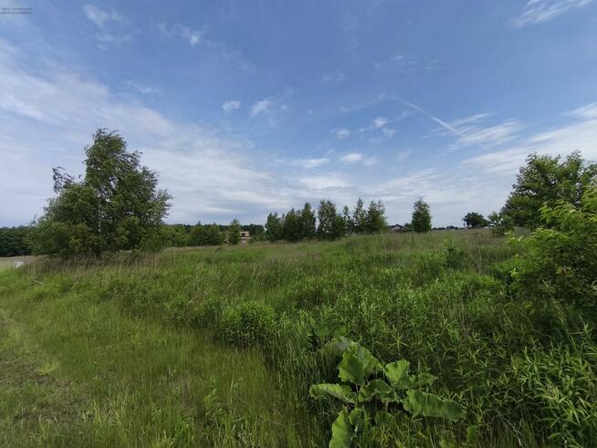 Działka budowlana Nieborowice gm. Pilchowice