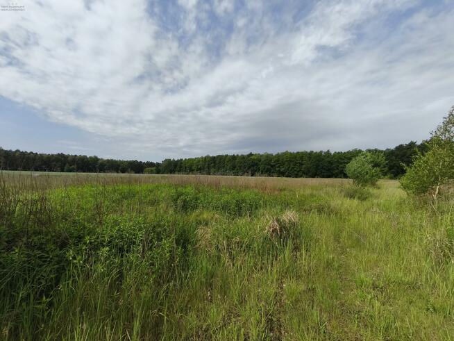 Działka budowlana Nieborowice gm. Pilchowice