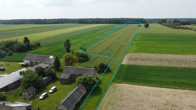 Działka rolna 3 ha w Jasieńcu Soleckim (zwoleński)