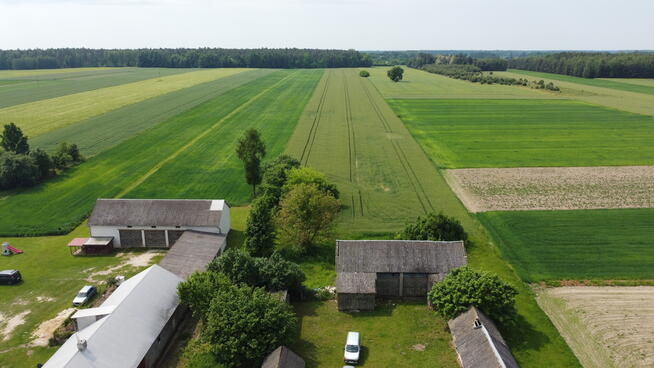 Działka rolna 3 ha w Jasieńcu Soleckim (zwoleński)