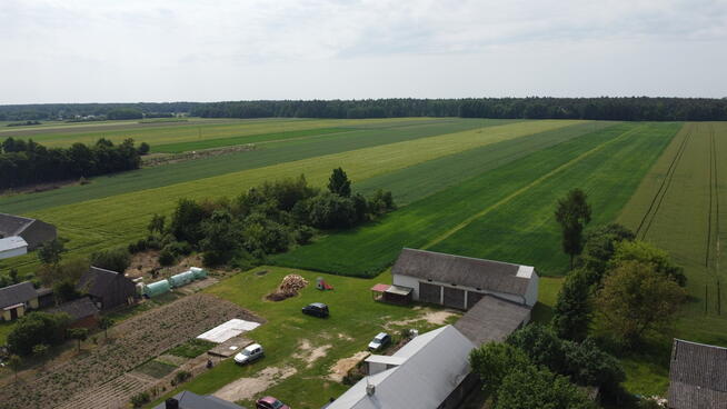 Działka rolna 3 ha w Jasieńcu Soleckim (zwoleński)
