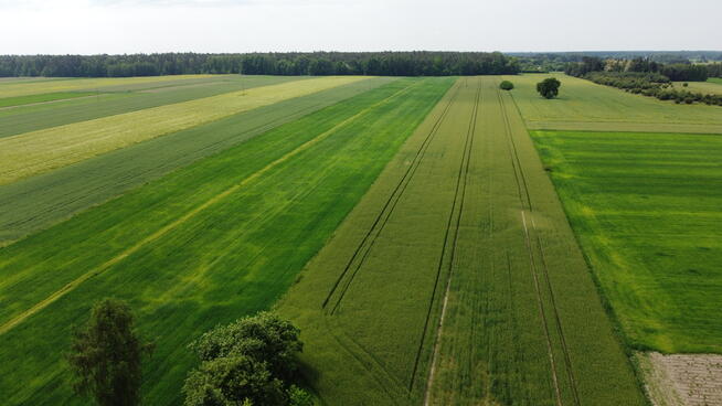 Działka rolna 3 ha w Jasieńcu Soleckim (zwoleński)