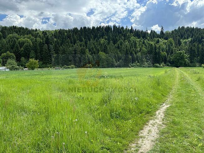 POLECAMY! 113G Gołkowice Dolne gmina Stary Sącz, działka mie