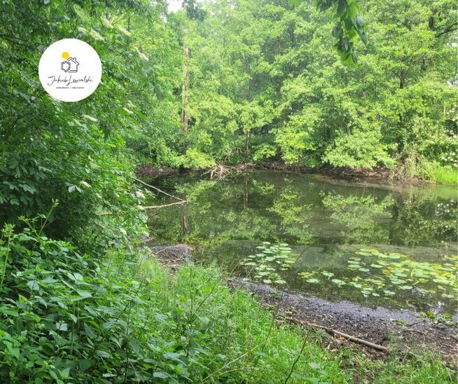 NOWA CENA Wyjątkowa działka z domkiem i stawem – Ryczołek