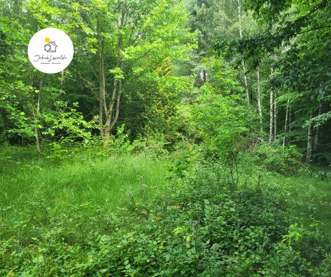 NOWA CENA Wyjątkowa działka z domkiem i stawem – Ryczołek