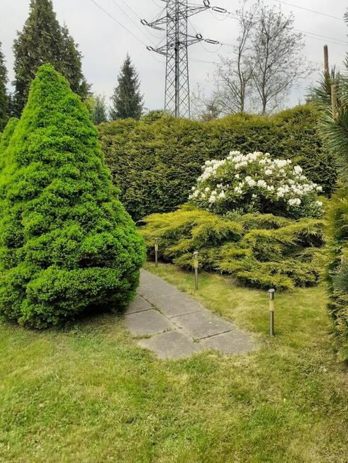 Działka ROD Pod Wierzbami Kraków Golikówka