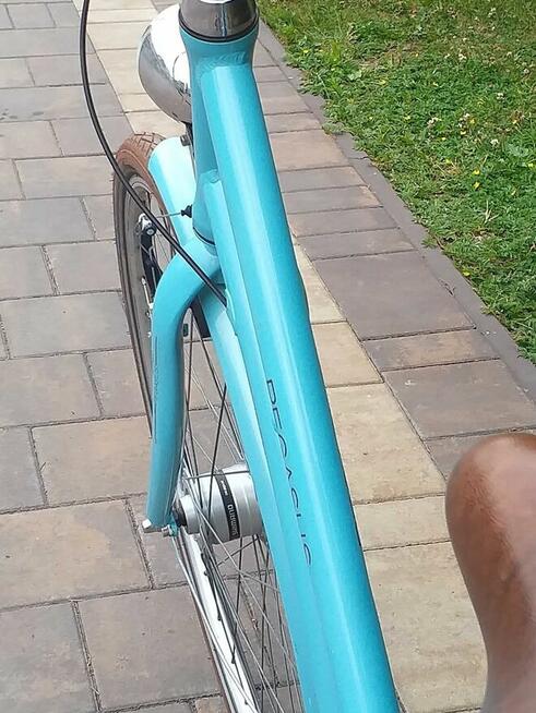 Rower aluminiowy Pegasus