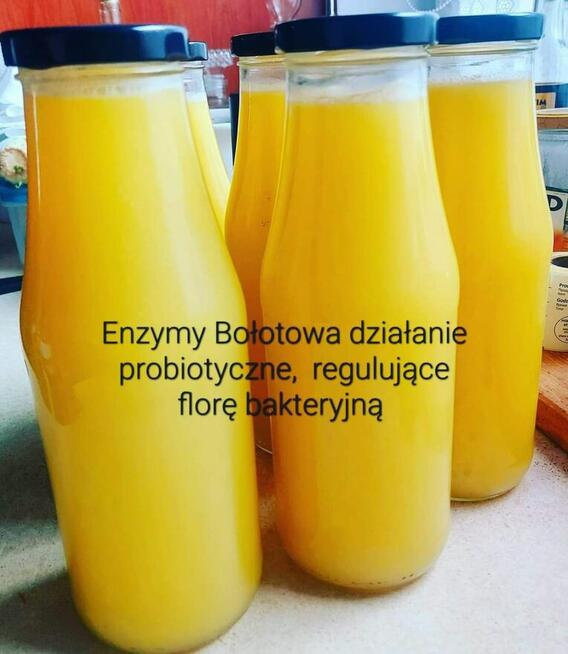 Enzymy bołotowa