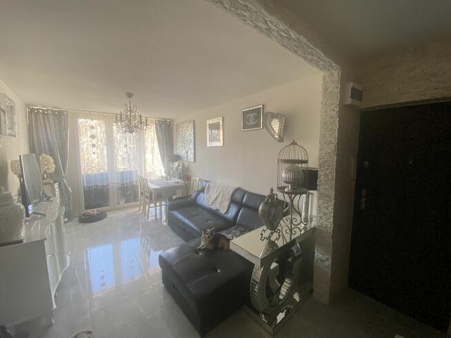 Piękne mieszkanie w centrum Wrocławia zamienię, sprzedam