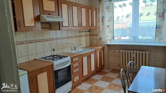 Mieszkanie do wynajęcia