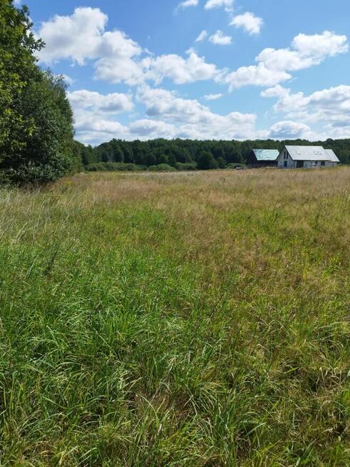 Sprzedam działkę budowlaną w Zawidowie woj dolnośląskie